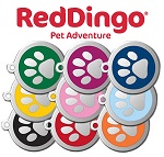 red dingo dog tag1